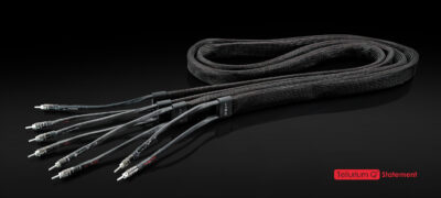 Statement speaker cable